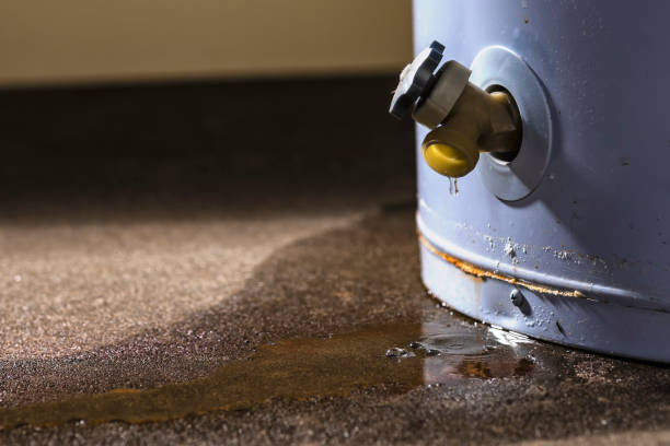 Best Mold removal after water damage  in East Valley, NV
