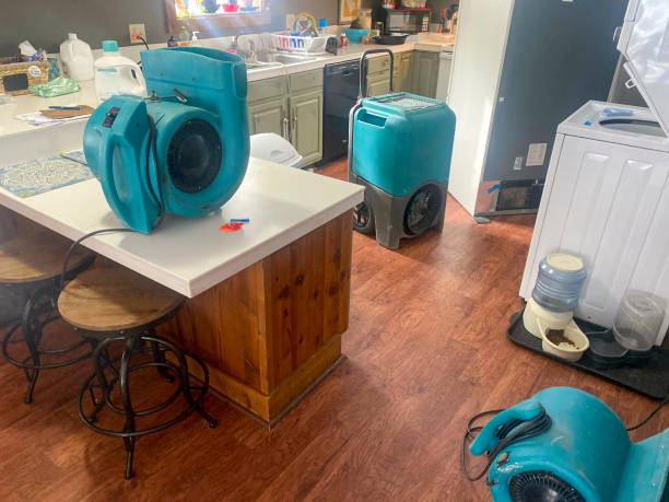 Best Commercial water damage restoration  in East Valley, NV