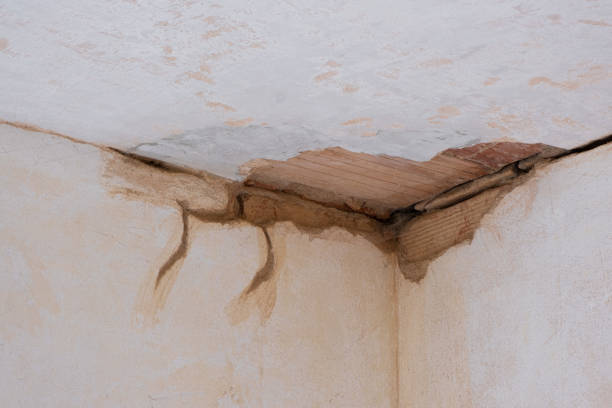 Best Emergency water damage restoration  in East Valley, NV