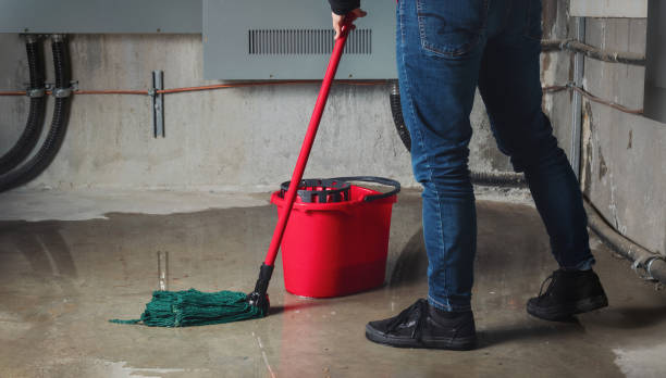 Best Flood damage cleanup  in East Valley, NV