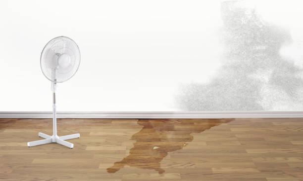 Best Water damage cleanup near me  in East Valley, NV