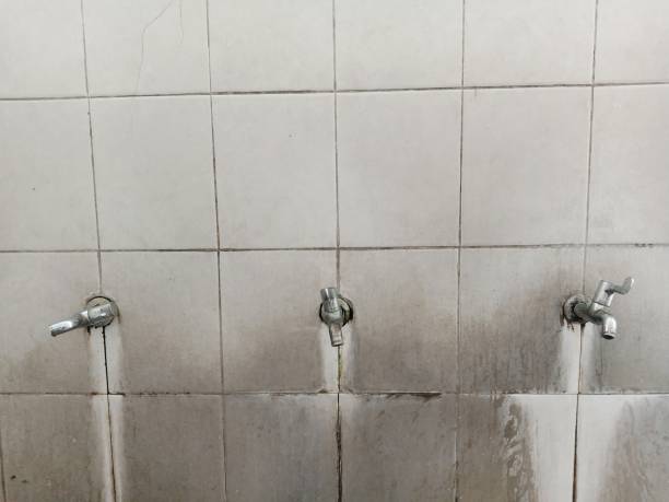Best Water damage cleanup near me  in East Valley, NV