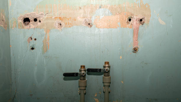 Best Ceiling water damage repair  in East Valley, NV