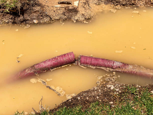 Best Water damage restoration near me  in East Valley, NV