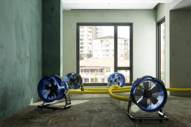 Best Basement water damage restoration  in East Valley, NV